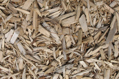 biomass boilers Minskip